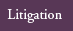 Litigation